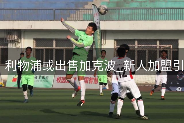 利物浦或出售加克波 新人加盟引发连锁反应